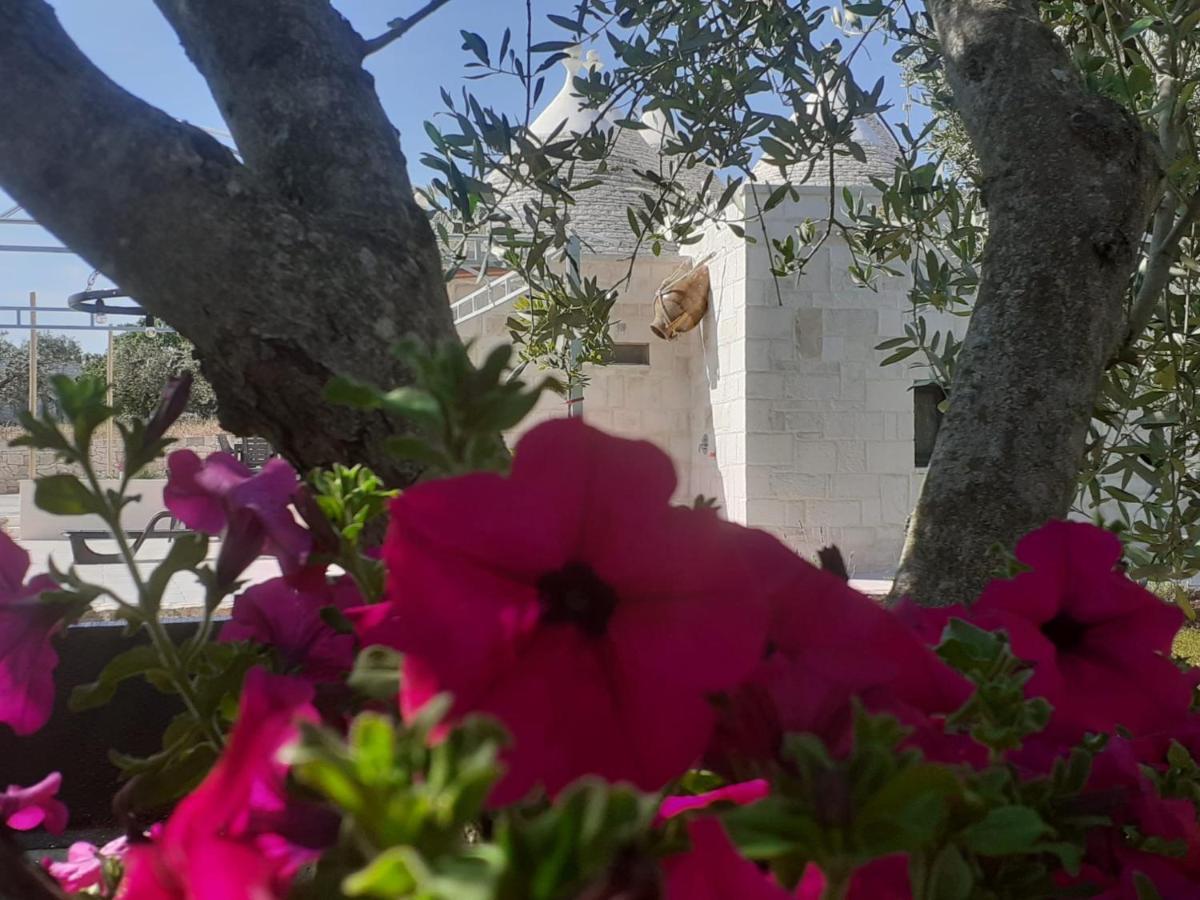Casavacanza Nonna Holiday home